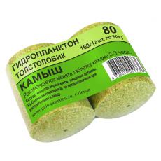 Гидроплангтон Пенза